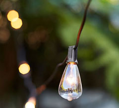 Edison Bulb Vintage Style Patio String Light - 10 Bulbs - 10 Feet - Shop Now