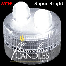 2 LED White Submersible II FloraLyte Set Of 10