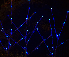 Outdoor Holiday Twinkling Branch 60 Blue LED - White Branches