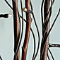 Electric Natural Brown Twig Branch 40 Bulbs 36 Inch