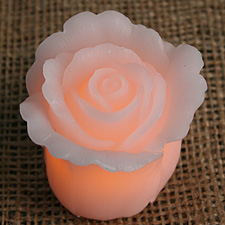 Set of 6 Carved Wax Roses