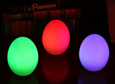 Magic Egg Lights