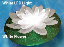 Acolyte Illuminated White Floating  LED Water Lily
