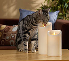 Remote Control Luminara 7 Inch Ivory Flameless Wax Candle
