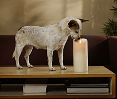 Remote Control Luminara 9 Inch Ivory Flameless Wax Candle