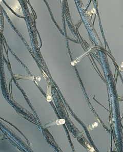 Battery Operated Silver GlitterTwig Branch - 50 LED's 39 Inch