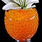 Orange  Water Beads - Events - Floral - Wedding Planners