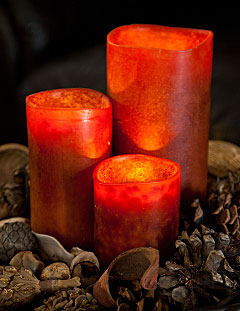 Bright 4 LED Battery Operated Candle 4 x 8 Pecan - Timer