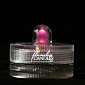 Pink Submersible FloraLytes Set Of 10