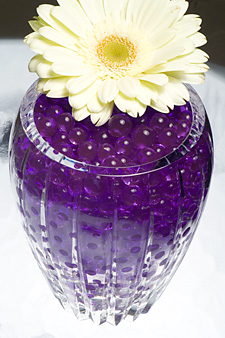 Purple  Water Beads - Events - Floral - Wedding Planners