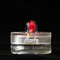 Red Submersible FloraLytes Set Of 10