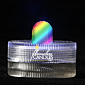 Multi Color Submersible FloraLytes Set Of 10