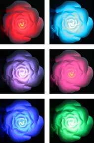 Floating Rose Lights Up In Water Changes Colors