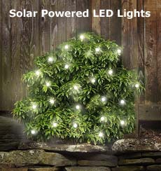Solar Light Strand With 50 LED Bulbs