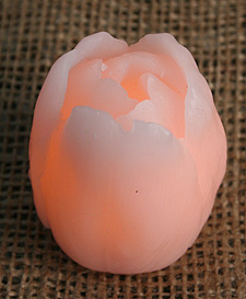 Set of 6 Carved Wax Tulips