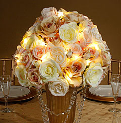 David Tutera 12 Lights - Thin Silver  Wire LED Light Strand