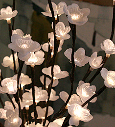 Battery Operated White Plum flowers 60 LED 20 Inch  - Timer