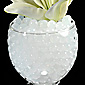 White  Water Beads - Events - Floral - Wedding Planners